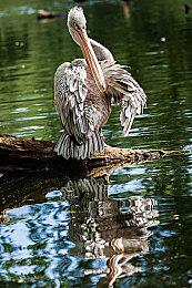 《死亡空间：重制版》将采用2D地图 更易于使用！